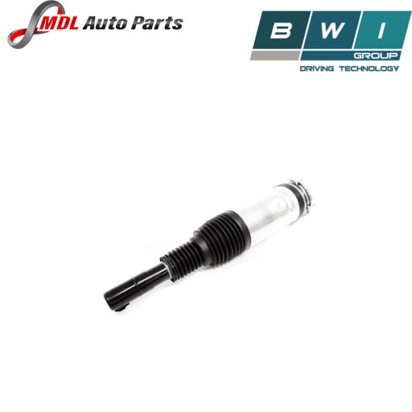 BWI Shock Absorber LR102249