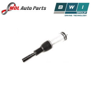 Bwi Shock Assembly LR132751