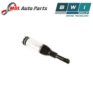 Bwi shock Absorber LR132754