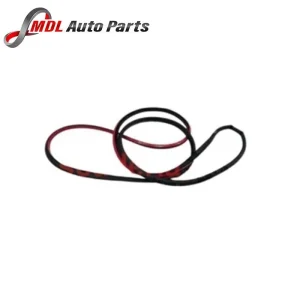 Land Rover Genuine Door Weather-Strip LR147918