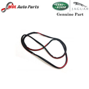 Land Rover Genuine Rear Door Seal Lr098316