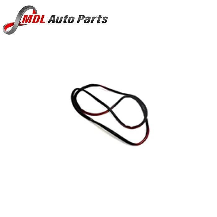 Land Rover Genuine Rear Door Seal Lr098316 1 Lr098316