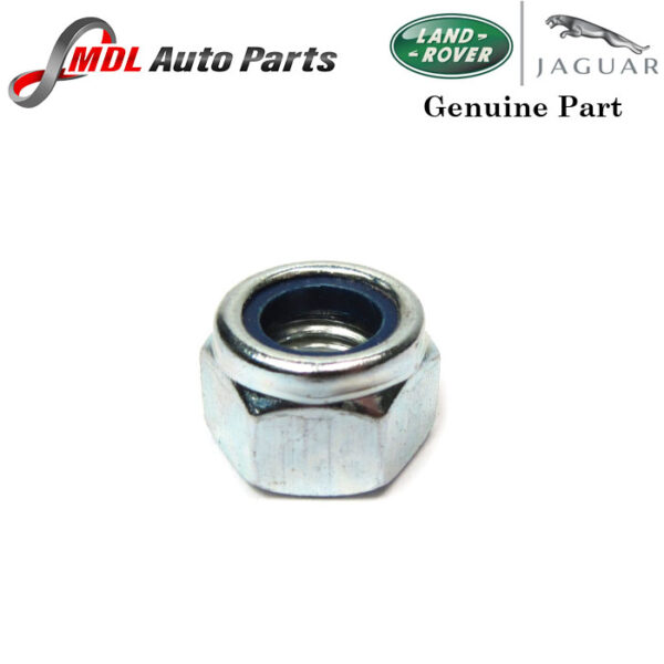 Land Rover Genuine Nut NY112041L