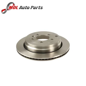 Terrafrima Rear Brake disk 2X SDB000636