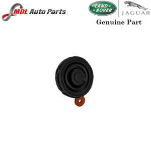 Land Rover Genuine Exhaust Valve Repair Kit AJ814239