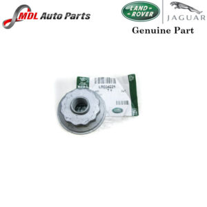 Land Rover Genuine Arm Nut LR034221