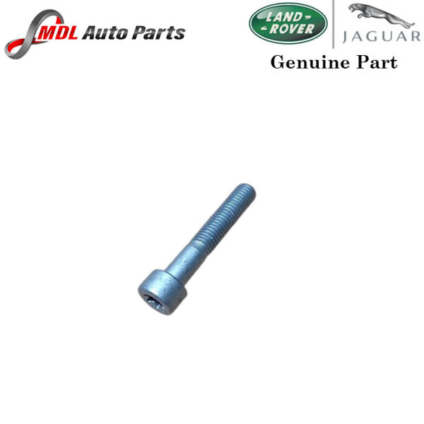 Land Rover Genuine Tensioner Bolt LR071706