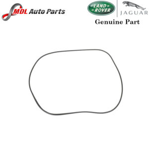 Land Rover Genuine Door Weather-Strip LR098313