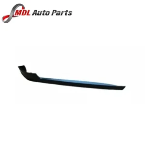 Land Rover Genuine Side Molding LR101092