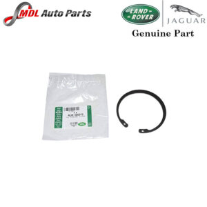 Land Rover Genuine Bearing Clip RUE000010