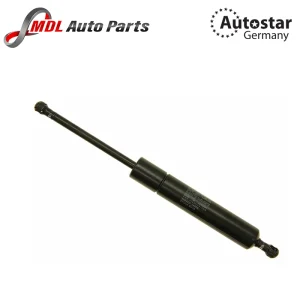 Autostar Germany (AST-667177) GAS SPRING W210 E320 S210 0019808064