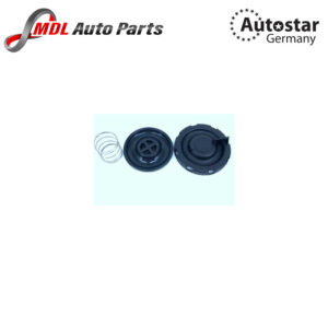 Autostar Germany CYLINDER HEAD COVER REPAIR VALVE For BMW 11128508570 K