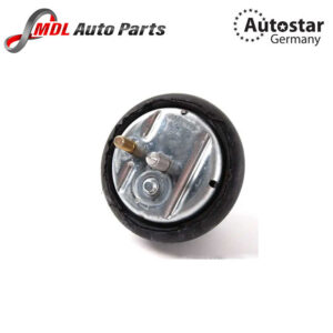 Autostar Germany ENGINE MOUNT FOR BMW 11811094149