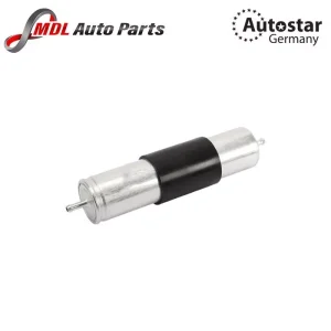 AUTOSTAR GERMANY FUEL FILTER X5 16126765756
