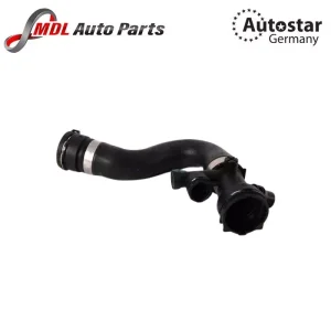 AutoStar Germany HOSE 17123415433