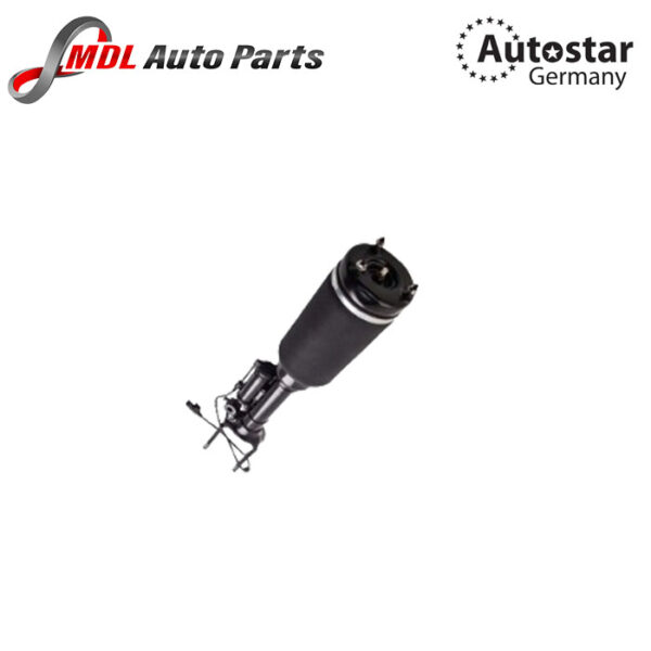 AutoStar Germany Shock Absorber L+R BRAND NEW 2513203013