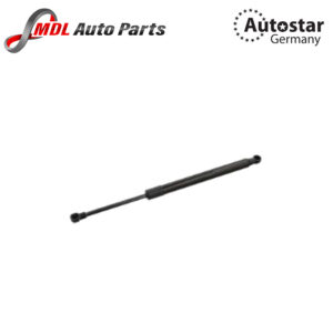 AutoStar Germany DICKEY SHOCK E9 51244365788