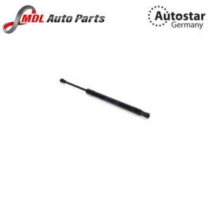 AutoStar Germany DICKY SHOCK E90 51247250308