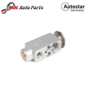 Autostar Germany EXPANSION VALVE E31 / E32 / E34 / E36 / E38 / E39 / X5 (3 64118362851