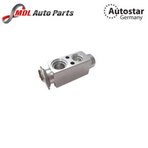 Autostar Germany EXPANSION VALVE E31 / E32 / E34 / E36 / E38 / E39 / X5 (3 64118362851