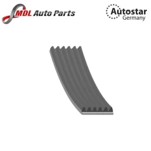 Autostar Germany BELT 6PK1690