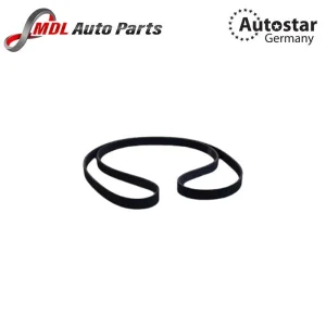 Autostar Germany V RIBBED BELT 6PK1875