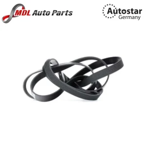 AutoStar Germany V RIBBED BELT 6PK2460 For Land Rover 10-13 5.0 V8 LR011345