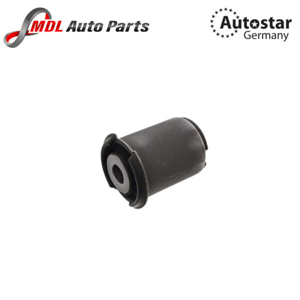 Autostar Germany BUSH LR055288