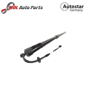 AutoStar Germany LAND ROVER STRUT TAILGATE LR062078
