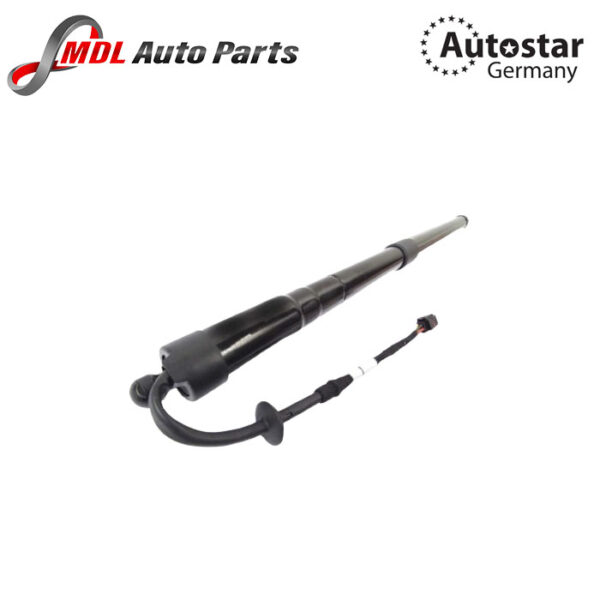 AutoStar Germany LAND ROVER STRUT TAILGATE LR062078