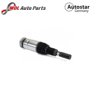 Autostar Germany SHOCK ABSORBER RR LR087091