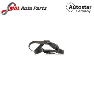 Autostar Germany V-RIBBED BELT PQS500241 For Land Rover 8DPK1355