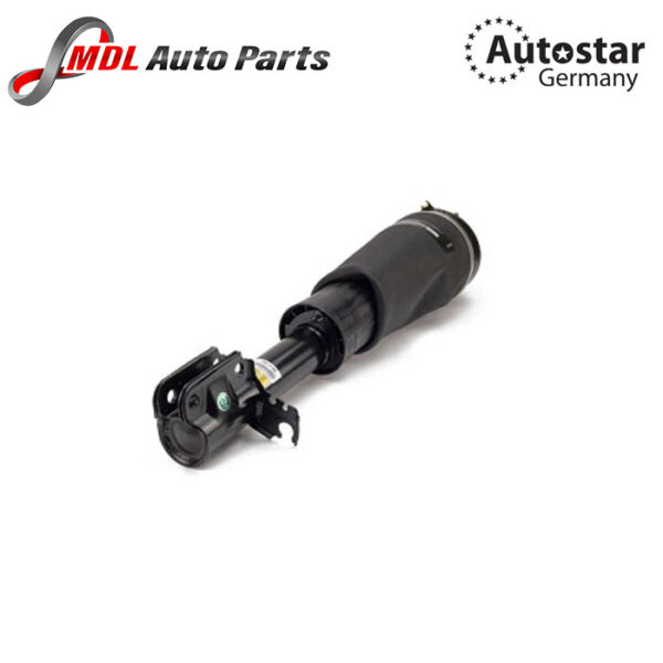 Autostar Germany SHOCK AB. FRONT AXLE LEFT GAS PRESSURE TOP PIN BOTTOM CLAMP For Range Rover RNB000750