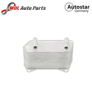 Autostar Germany (AST-286488) TRANSMISSION OIL COOLER FOR AUDI 8N3 8N9 8J3 8J9 1J1 02E409061C