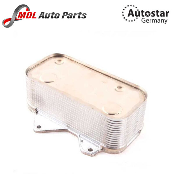 Autostar Germany ENGINE OIL COOLER For AUDI A6 A8 Volkswagen Phaeton (3D1, 3D2, 3D3, 3D4, 3D6, 3D7, 3D8, 3D9) 077117021Q