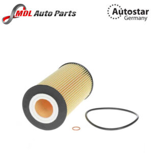 AutoStar Germany (AST-216628) OIL FILTER 079198405A