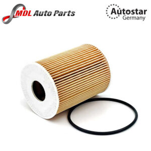 AutoStar Germany OIL FILTER Panamera Cayenne (92A) Macan 0PB115466