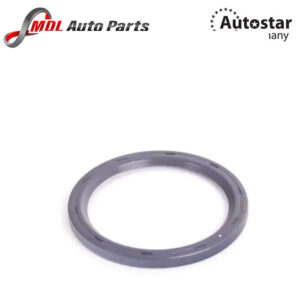 AutoStar Germany OIL SEAL 11117587168