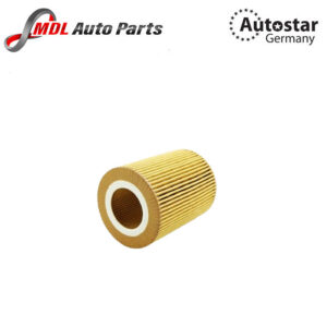 AutoStar Germany OIL FILTER (100) 11427512300