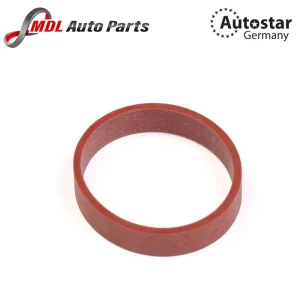 Autostar Germany INTAKE MANIFOLD GASKET For 11612246945