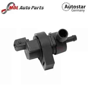 Autostar Germany VALVE 13901433603