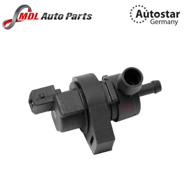 Autostar Germany VALVE 13901433603