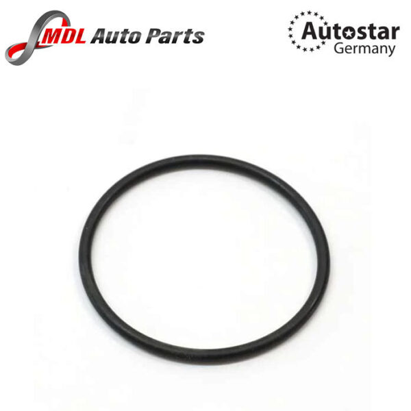 AutoStar Germany O RING 159972348