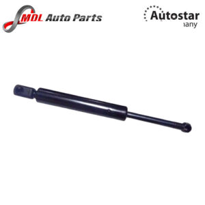 AutoStar Germany GAS SPRING 1638800029