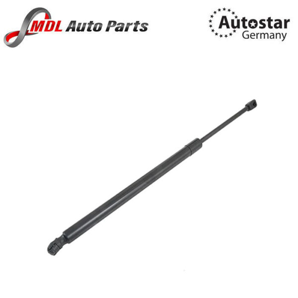 Autostar Germany (AST-666834) DICKEY SHOCK RH GAS SPRING W164 05-11 1647400245