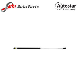 AutoStar Germany BONNET SHOCK 1648800129