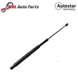 AutoStar Germany BONNET SHOCK 1648800129