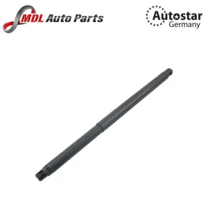 AutoStar Germany GAS SPRING W166 1669801964