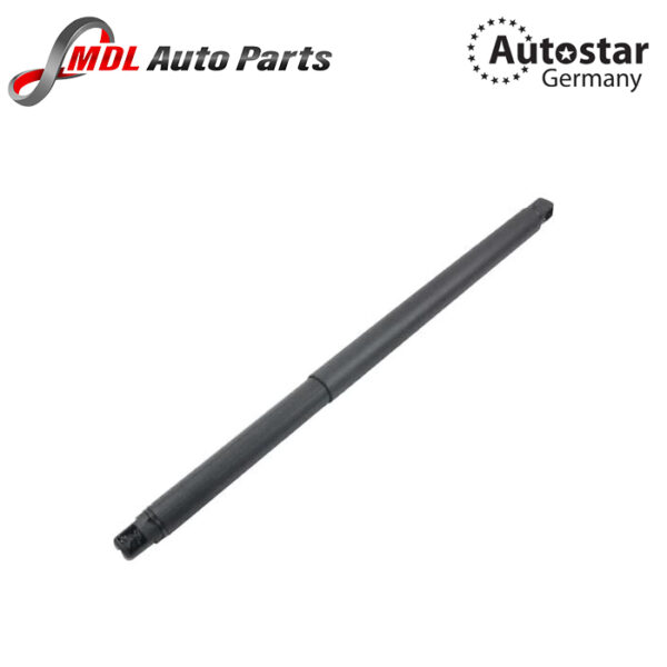 AutoStar Germany GAS SPRING W166 1669801964