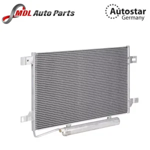 AutoStar Germany CONDENSER 1695000354